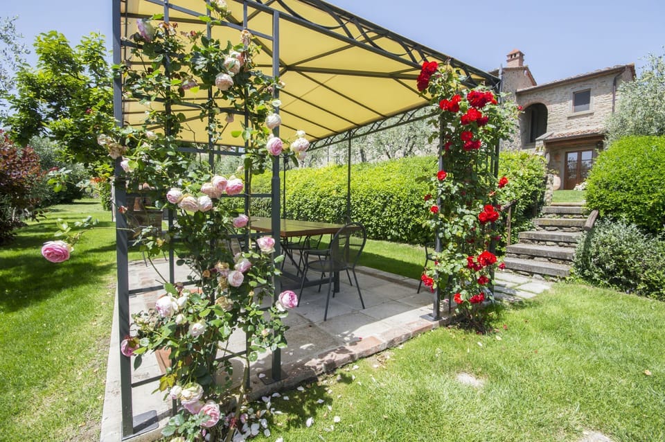 Garden and outdoor view