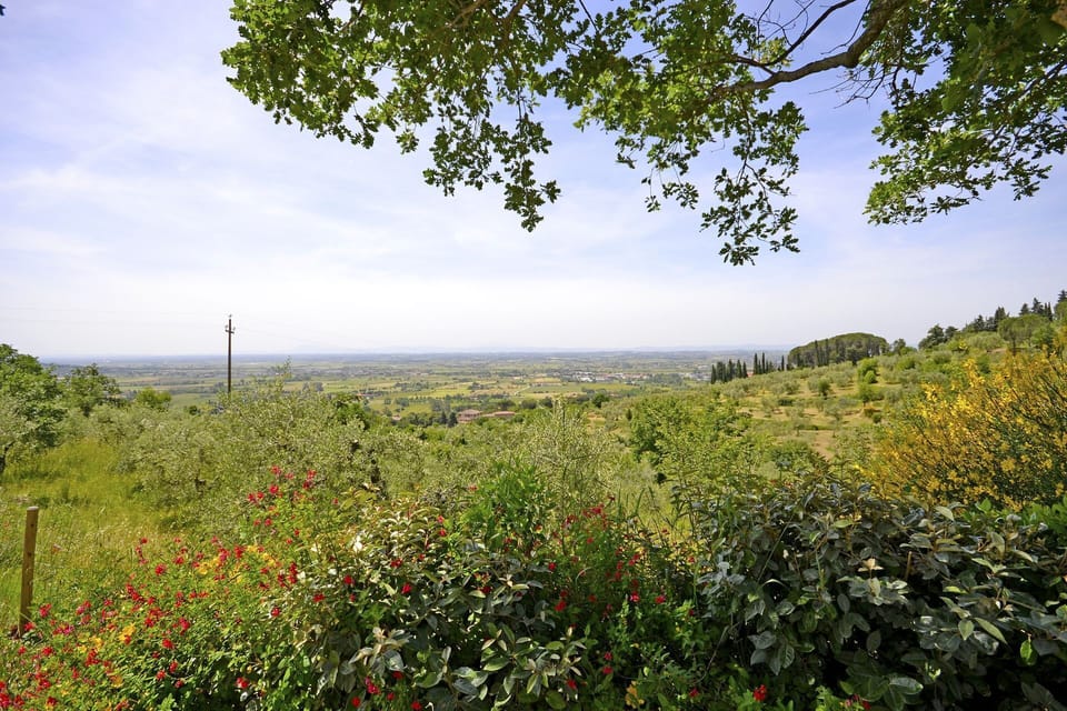 Panoramic view