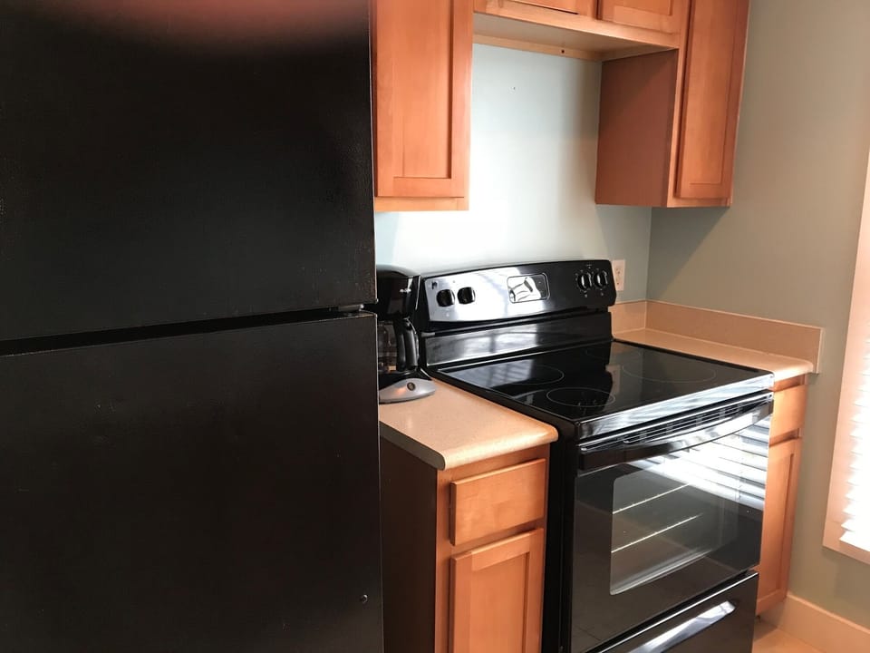 Full kitchen with new, full size fridge, oven and cooktop