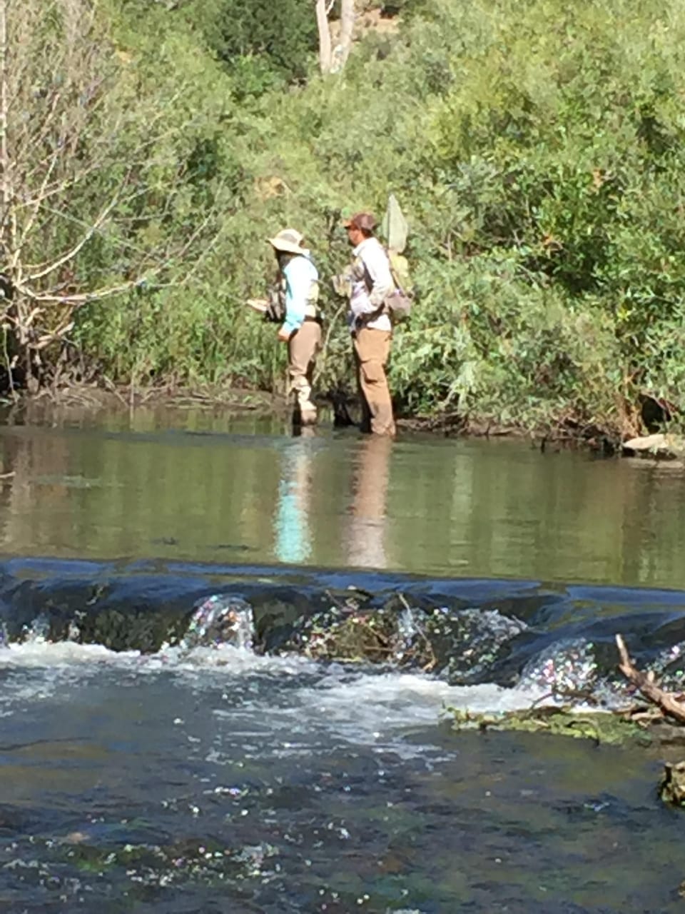 Fishing in the nearby cimarron river 
