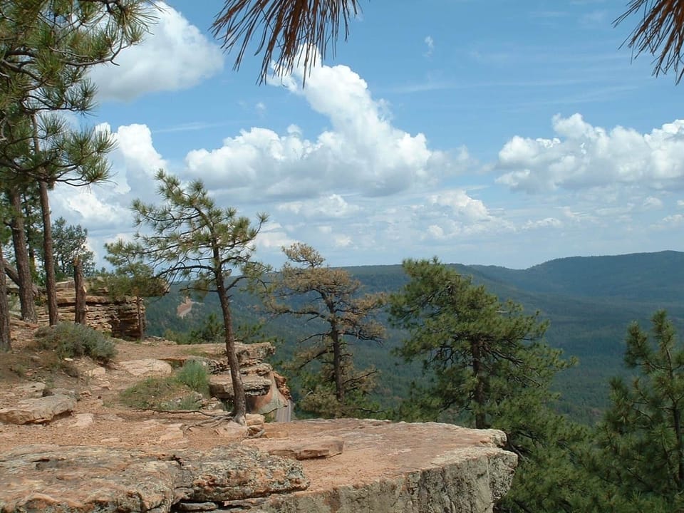 Rim edge view
