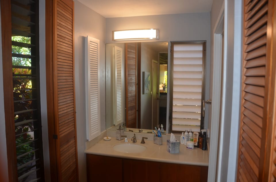 Large master bathroom