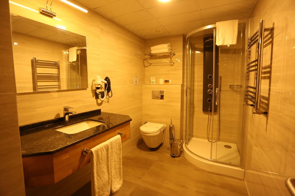 Standard Double or Twin Room | Bathroom | Shower, hydromassage showerhead, free toiletries, hair dryer