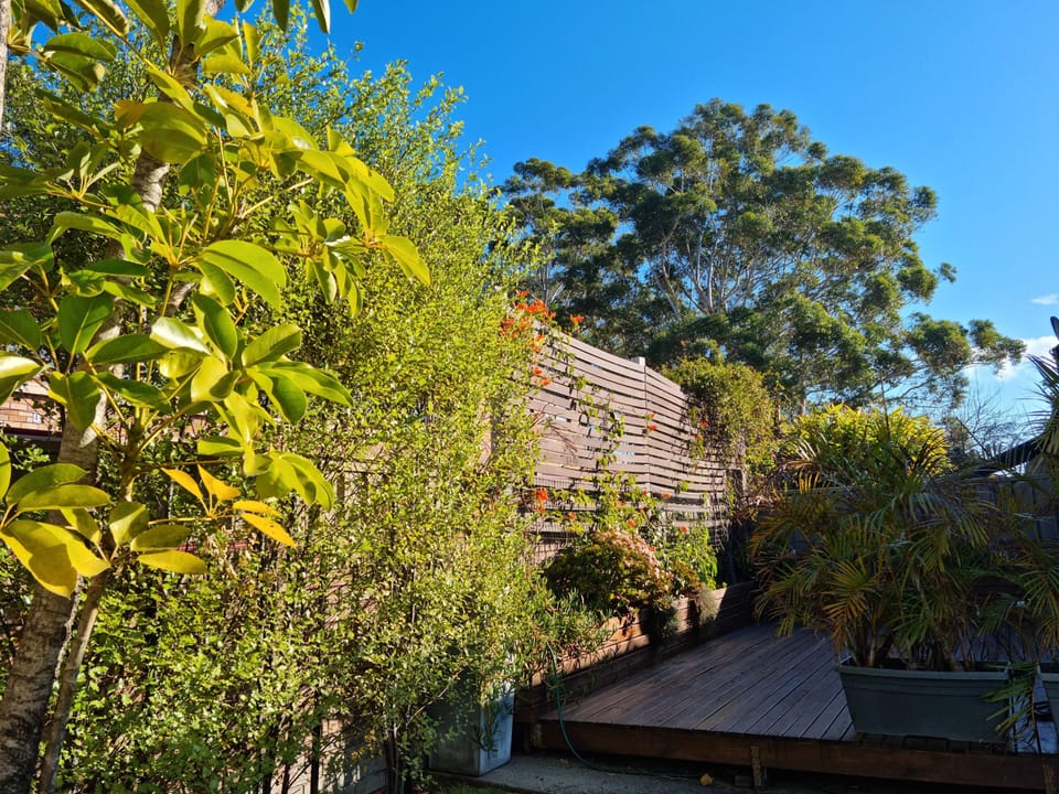 private back deck
