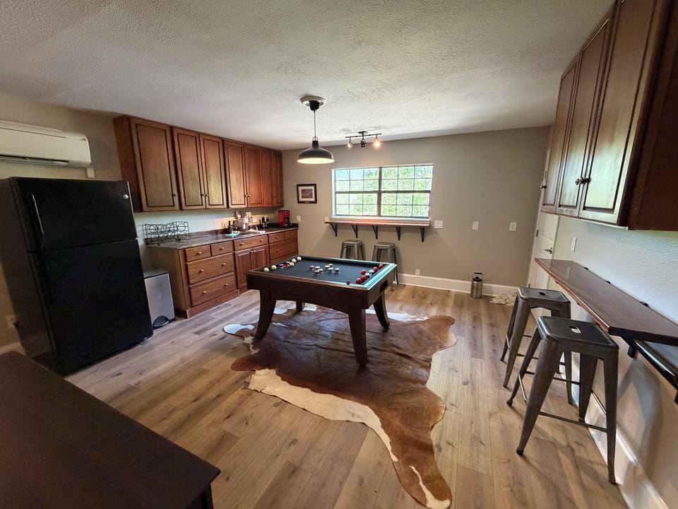Game room and wet bar