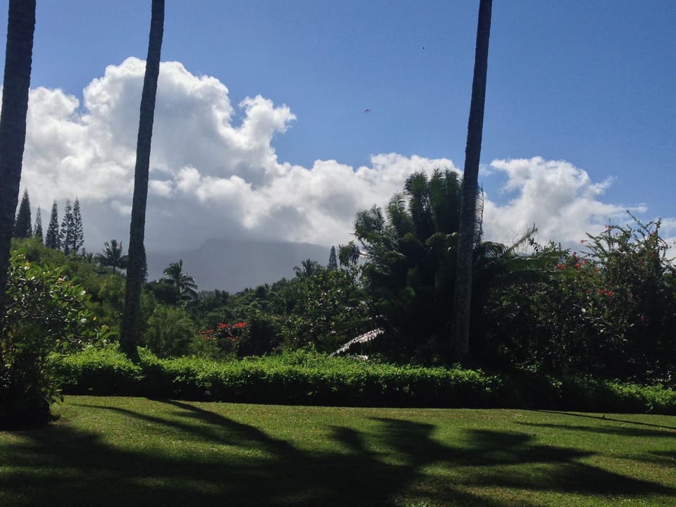 view off lanai