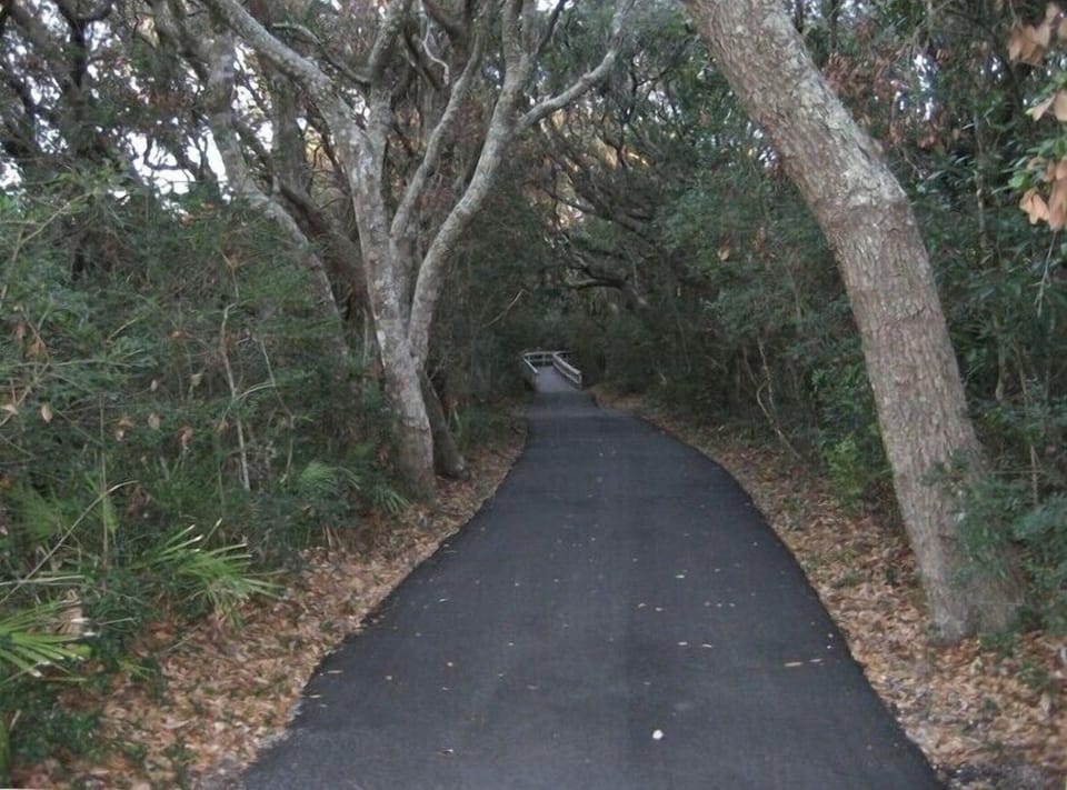 Paved walking/biking trails on Amelia Island Plantation