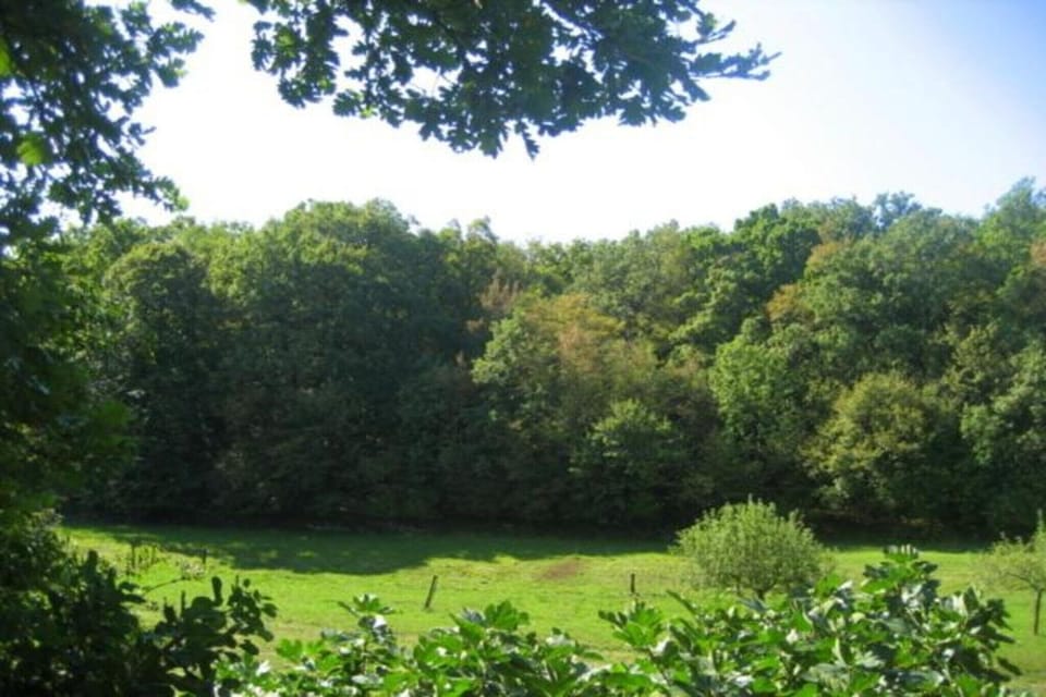 Region [summer] (>5 km)