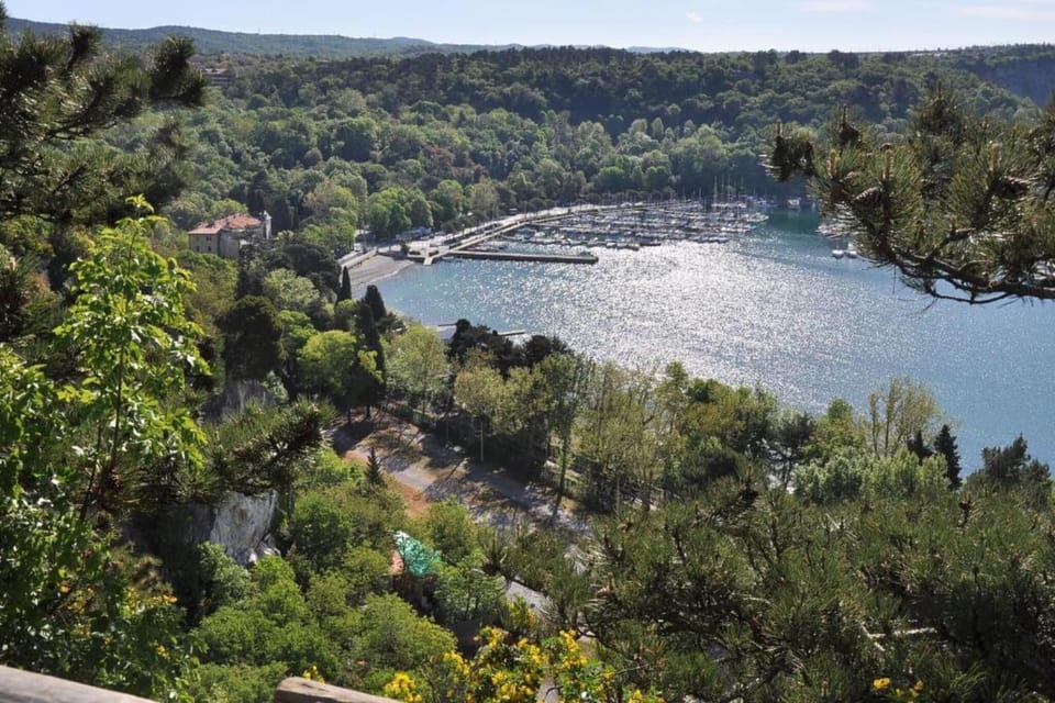 Region [summer] (>5 km)