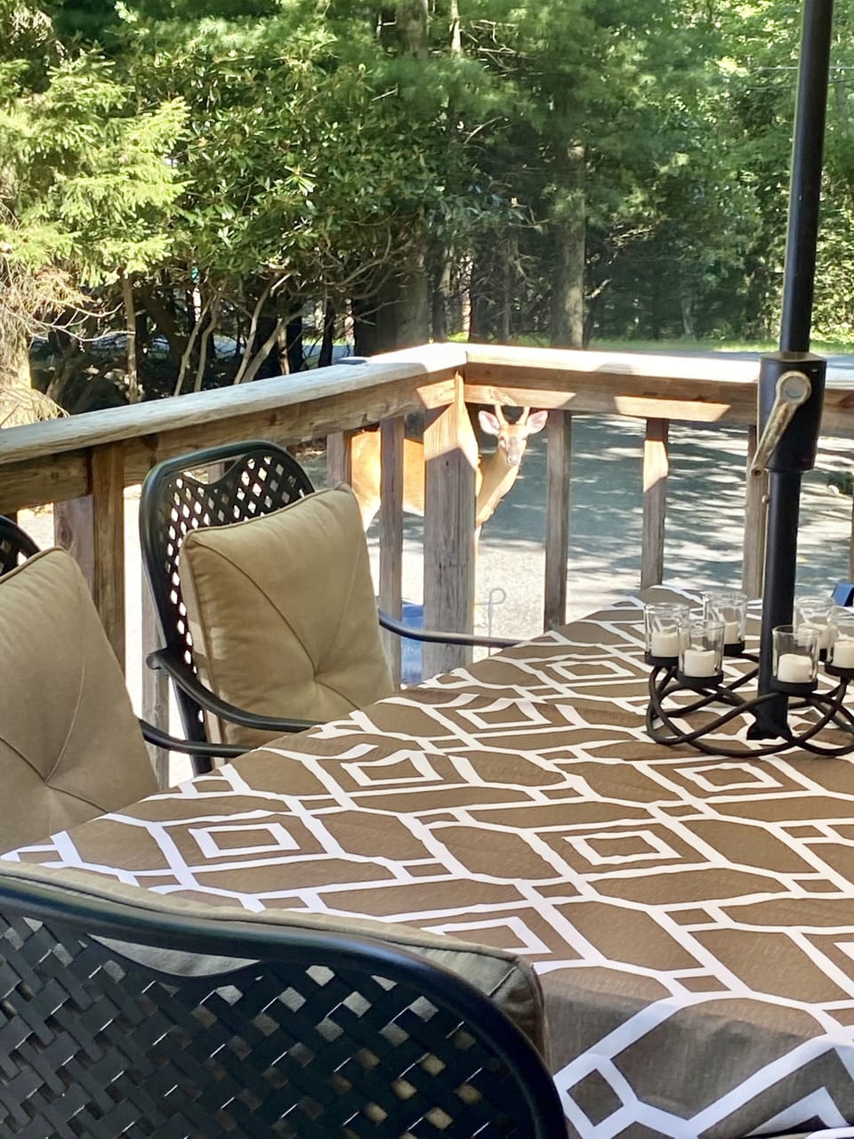 Patio set,seats 6 plus 1 deer.