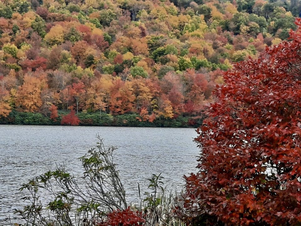 Fall 
