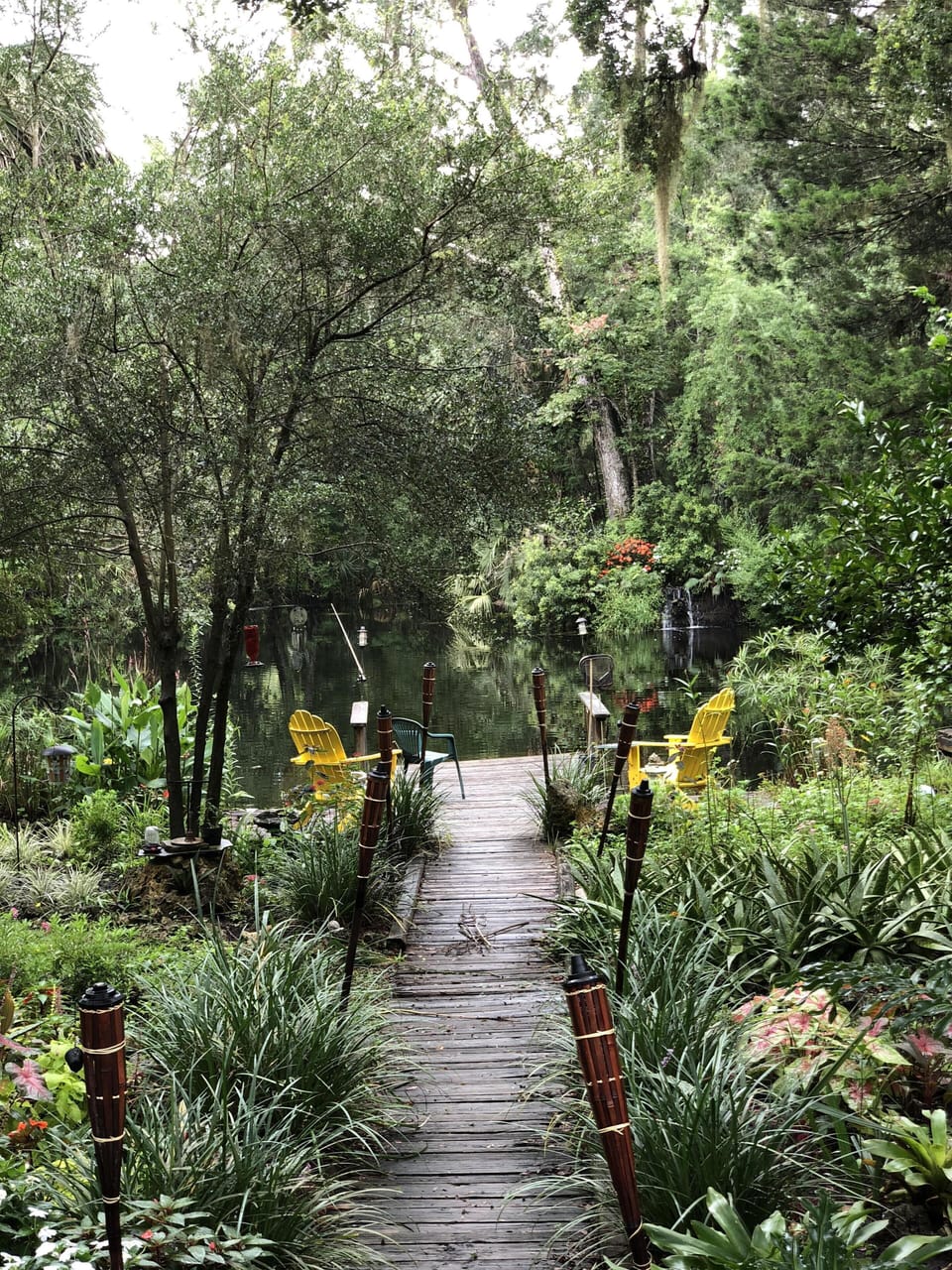 Walkway to the spring-fed pond and waterfall.