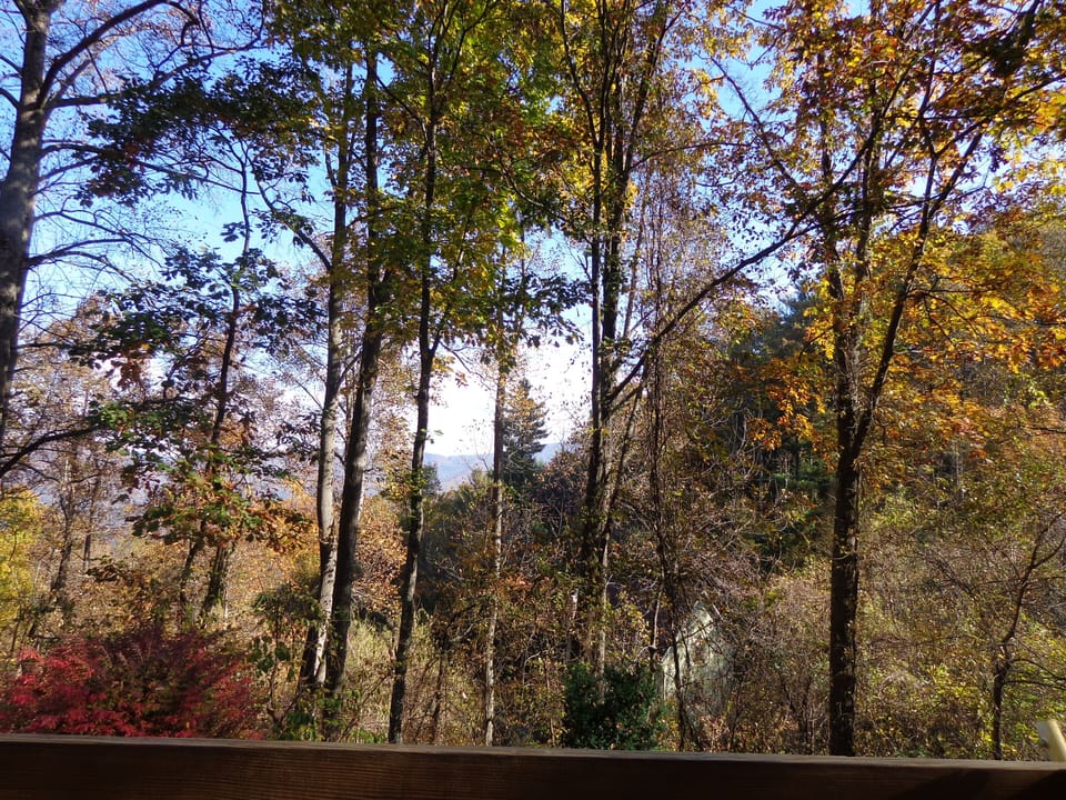 Fall in the Blue Ridge Mountains from the deck