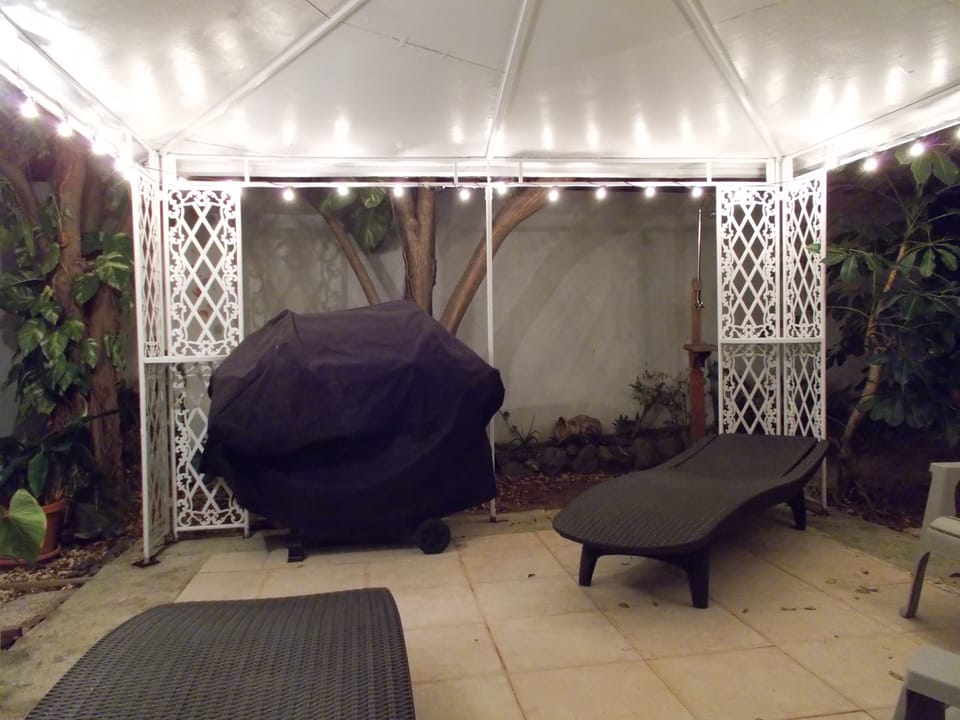 Backyard Gazebo/BBQ Grill