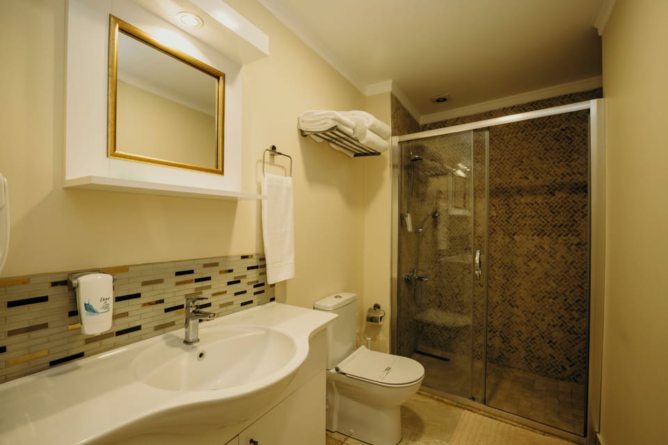 Economy Room | Bathroom | Shower, rainfall showerhead, free toiletries, hair dryer