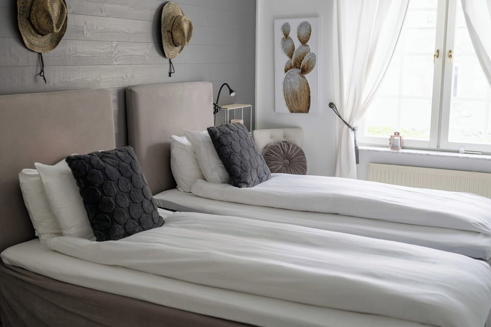 Deluxe Twin Room | Hypo-allergenic bedding available, desk, iron/ironing board (on request)