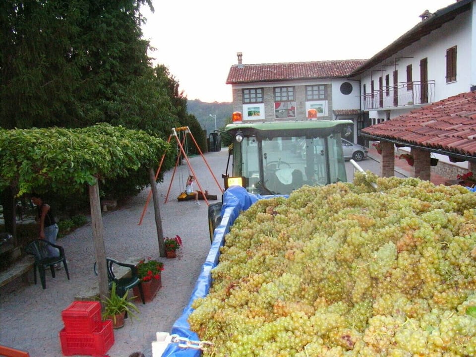 Winery