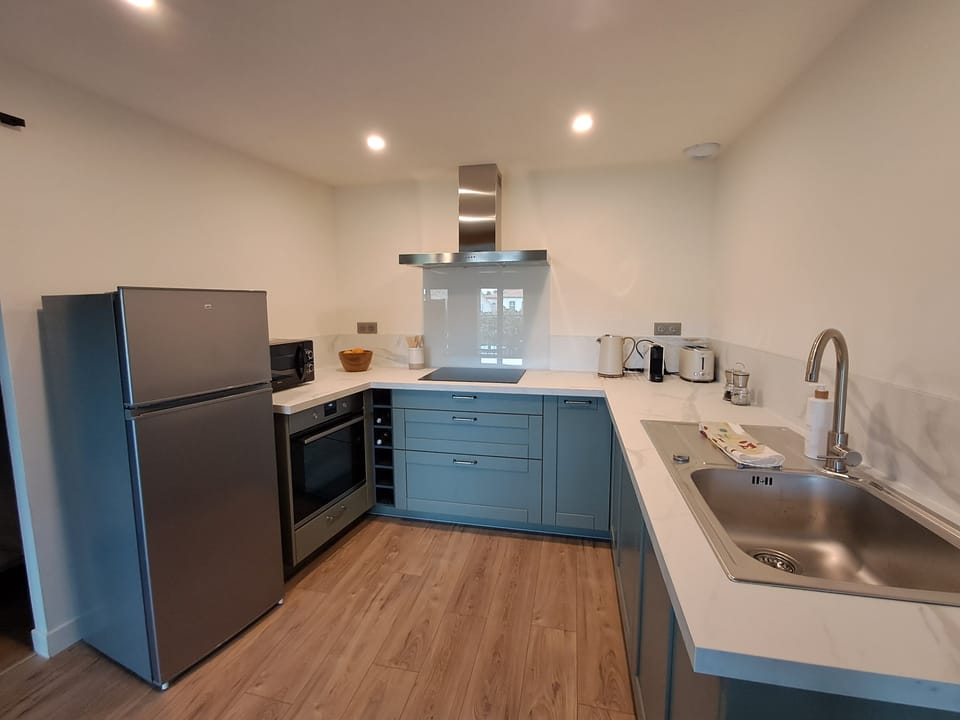 Deluxe Apartment, 1 Queen Bed | Private kitchen | Oven, stovetop, dishwasher, espresso maker