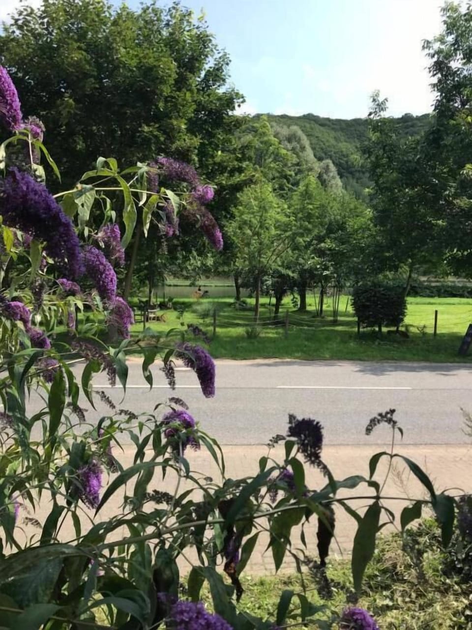 Miscellaneous