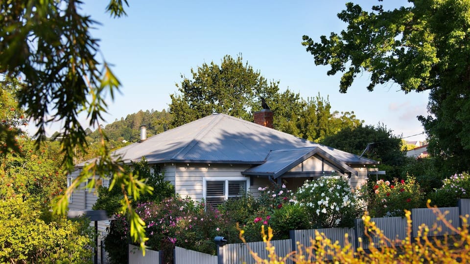 The Lady in full bloom