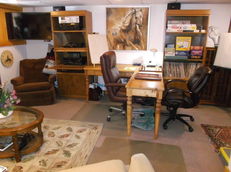 Family room TV, Blu-ray player, record player,  vinyl records