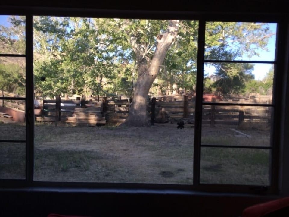 Looking out large picture window