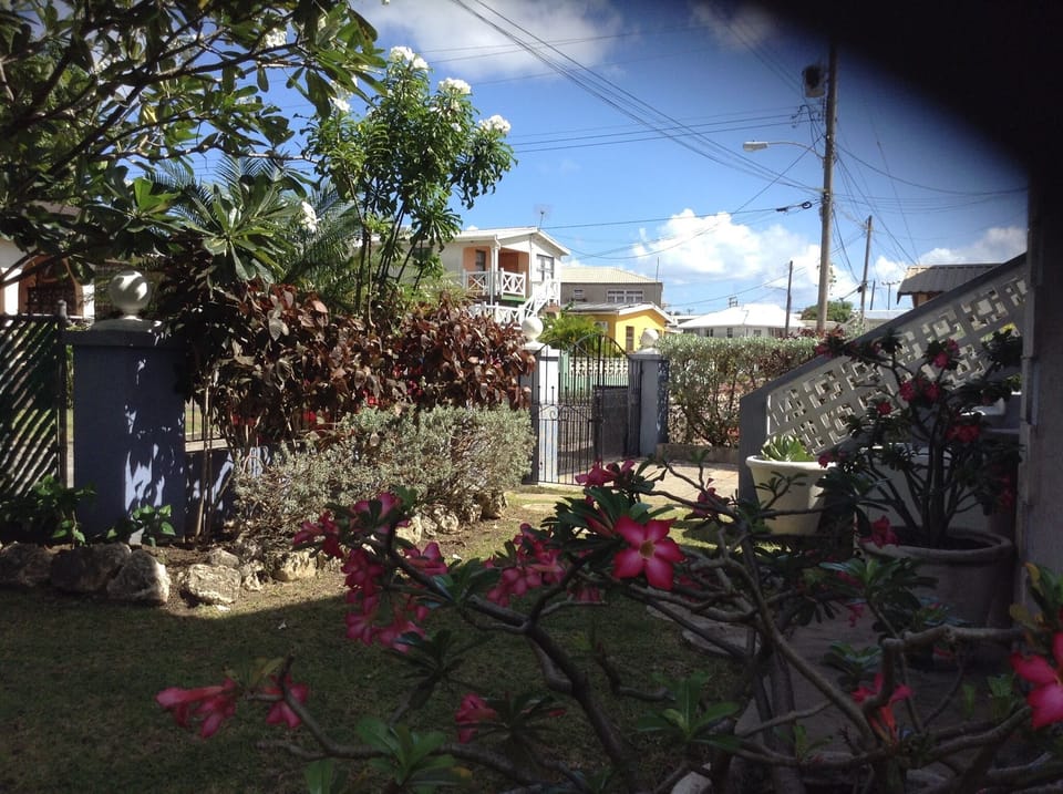 Front yard