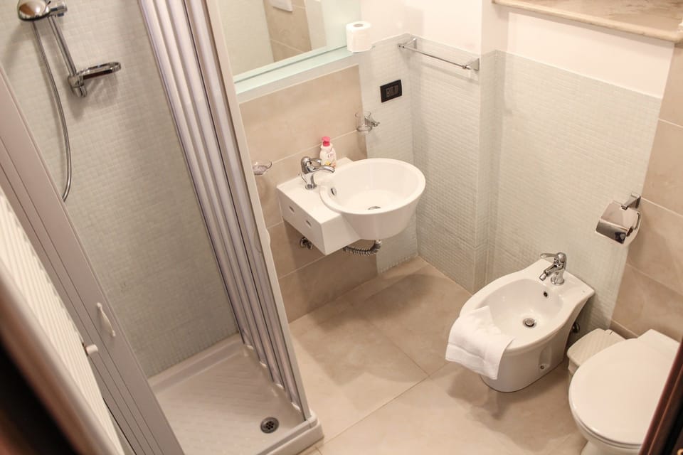 Shower, free toiletries, hair dryer, bidet