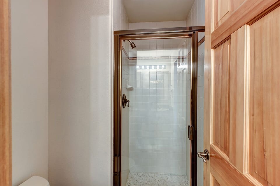 Primary Bathroom Shower
