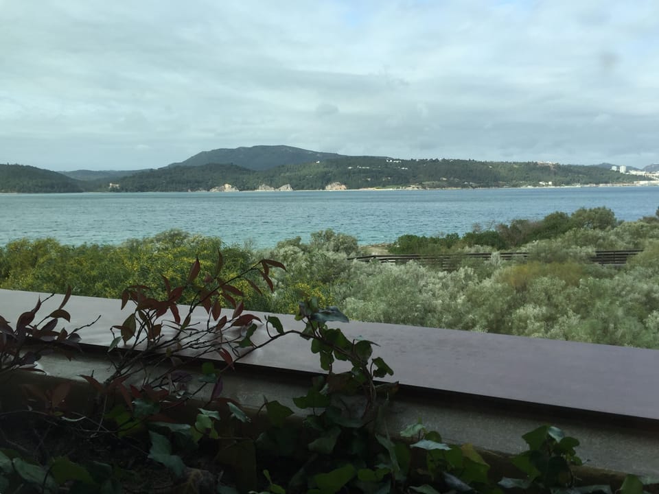 View from the living room