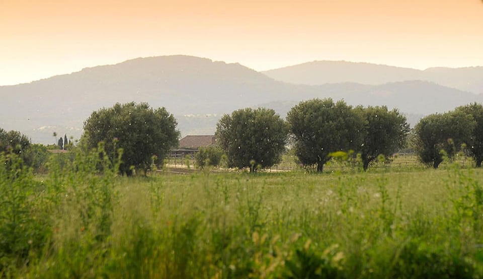The landscape surrounding the villa