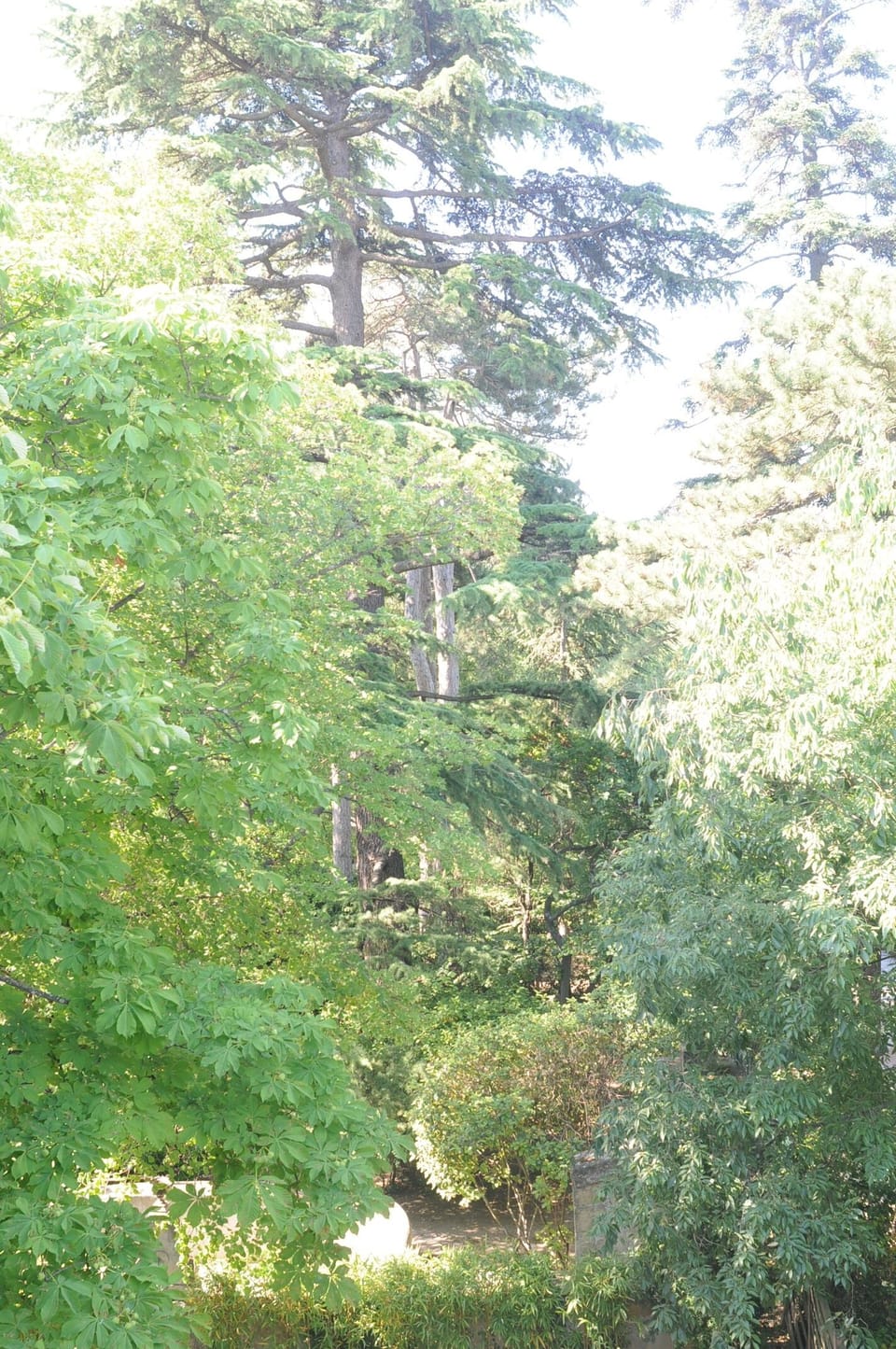 Parc vu des chambres de la Maison de Maitre