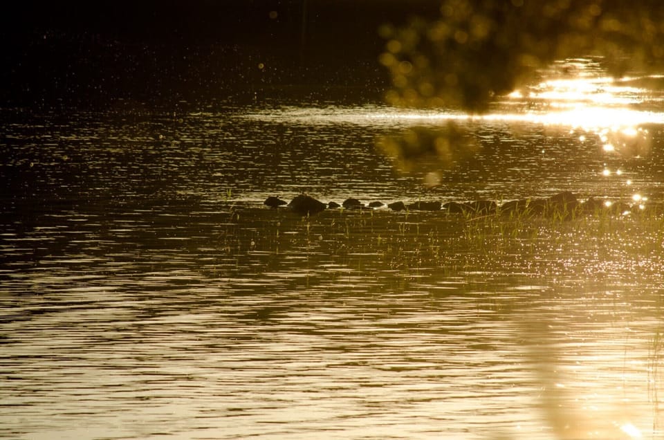 Lake