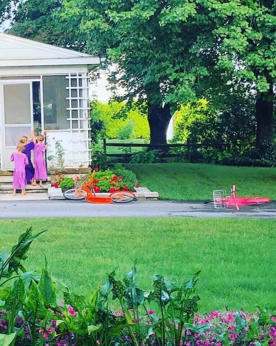 The Amish neighbor children coming on their scooters to visit Grandma next door
