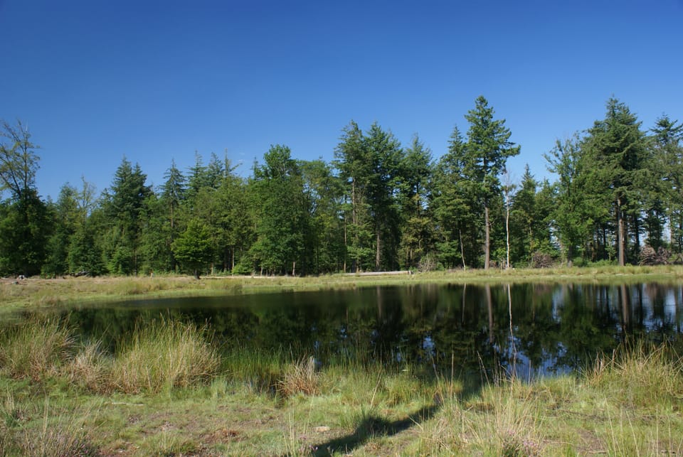 The garden beside the farmhouse including tables, chairs, trampoline and BBQs