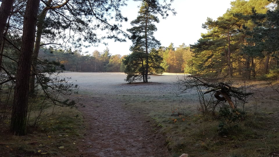 Part of the Drents- Friese Wold - just 10 minutes from the farmhouse!