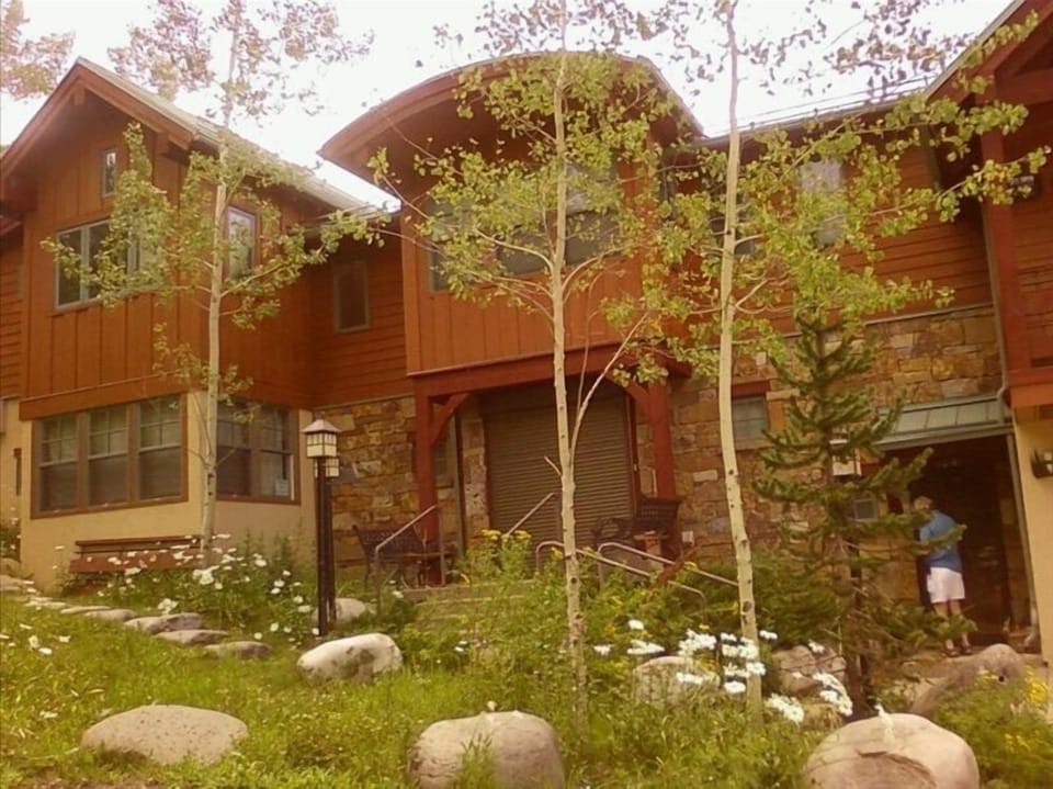 Summertime View