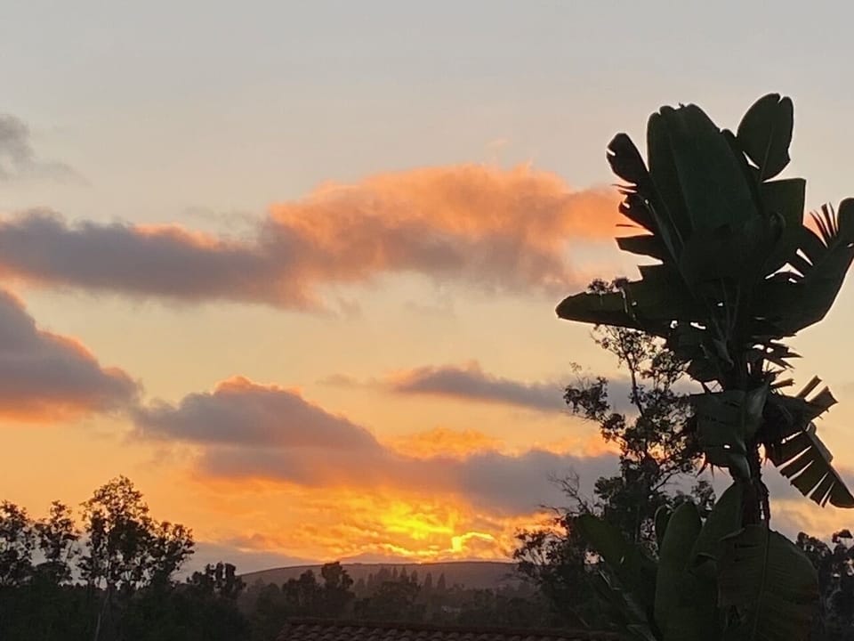 Gorgeous San Diego sunsets in our backyard