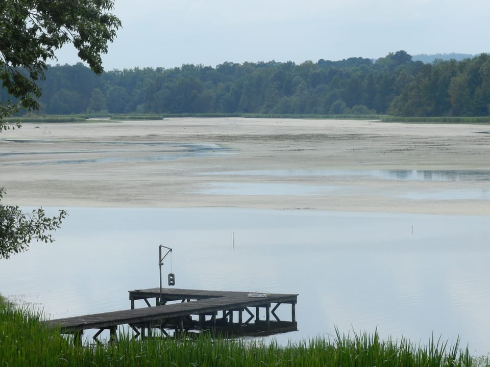 Lake and Wilderness Views!
