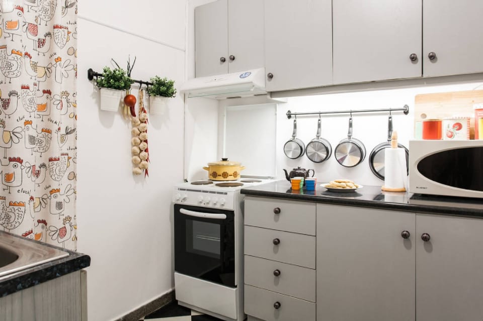 Traditional Apartment, 1 Bedroom, City View, Corner | Private kitchen | Full-size fridge, microwave, oven, stovetop
