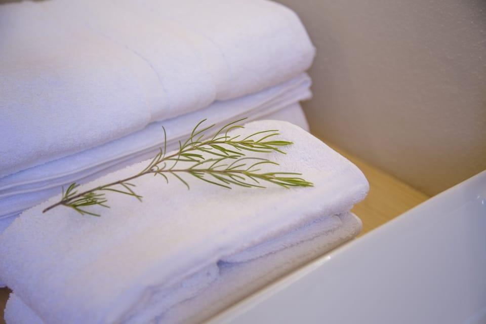 Double Room, Terrace, Mountain View | Bathroom amenities | Shower, free toiletries, hair dryer, towels