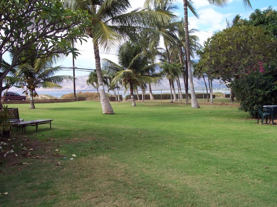 view from deck of cottage