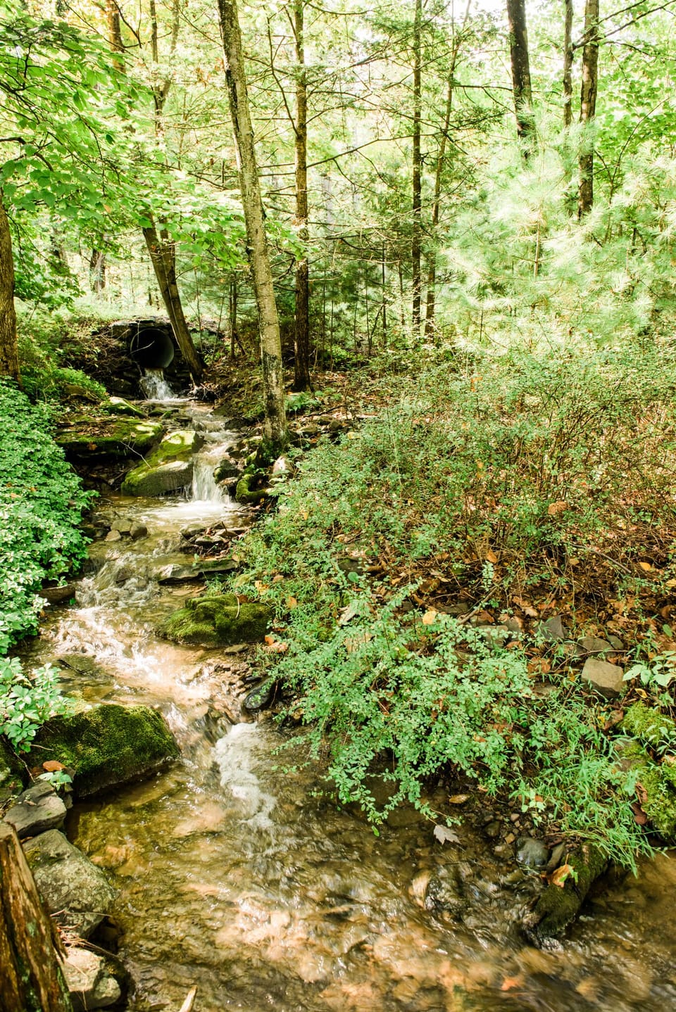 Spillway through property. My kids love playing in the water here.