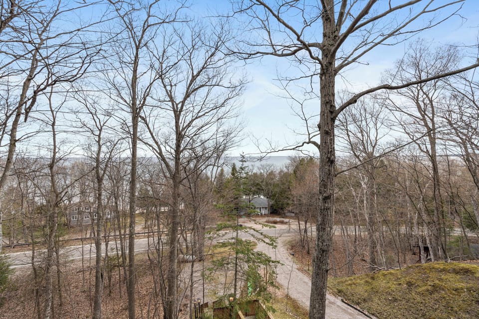 Spring.  Drone view from front of cottage.