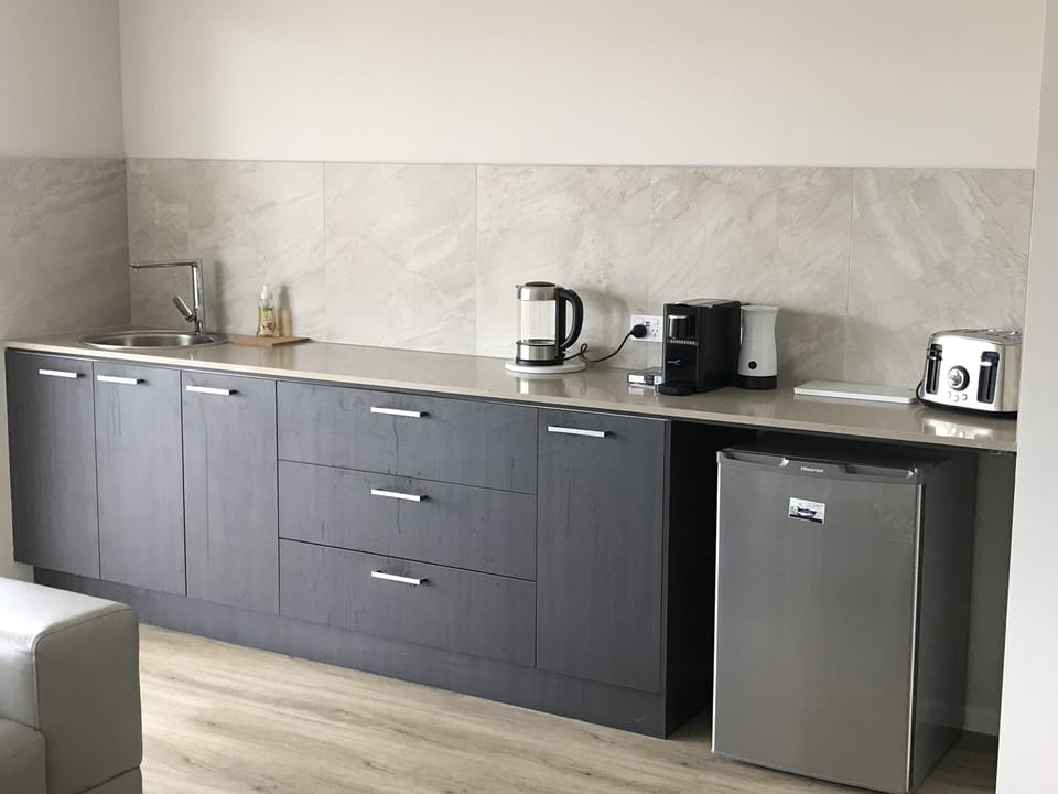 Kitchenette downstairs 