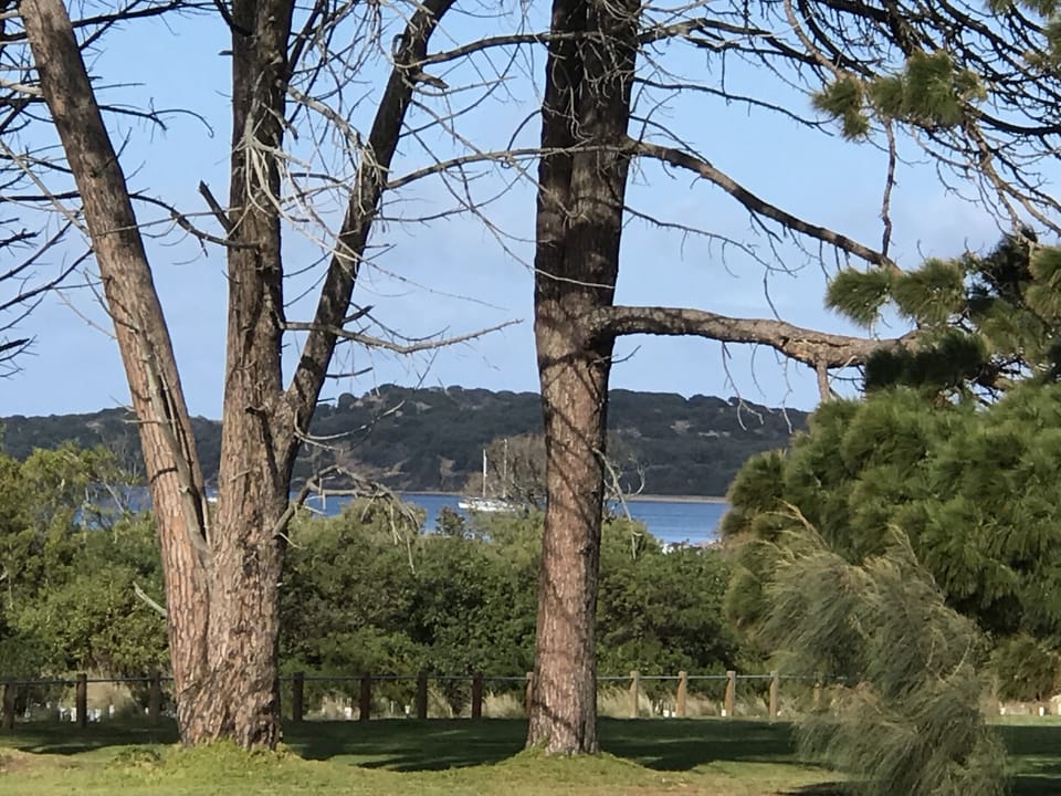 View from kitchen window