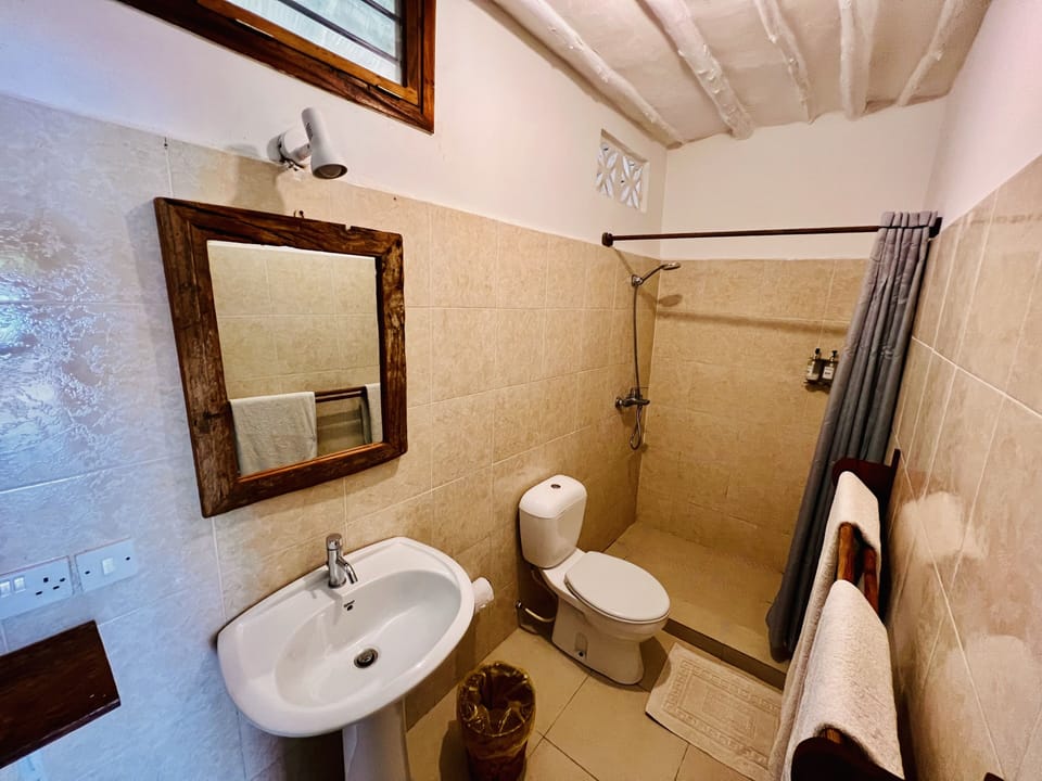 Shower, free toiletries, hair dryer, towels