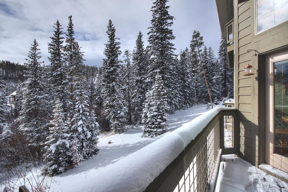 A snowy landscape with pine trees is seen from a balcony of a building. The balcony has a layer of snow on its railing.