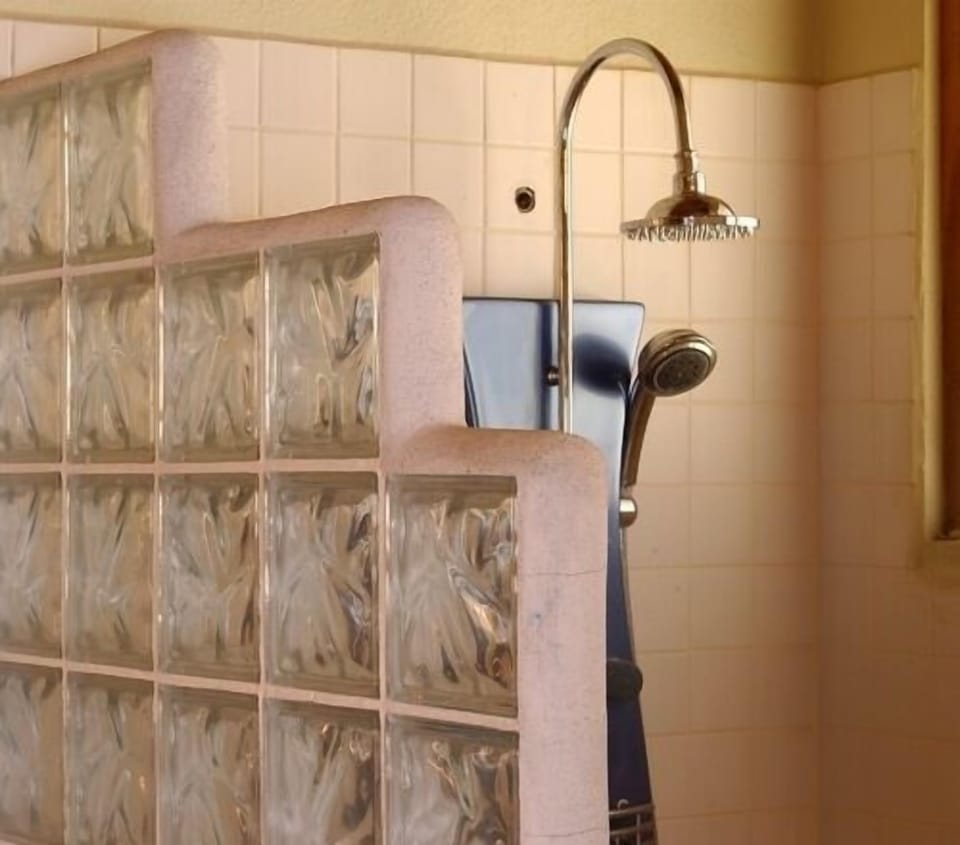 Multifunctional master shower