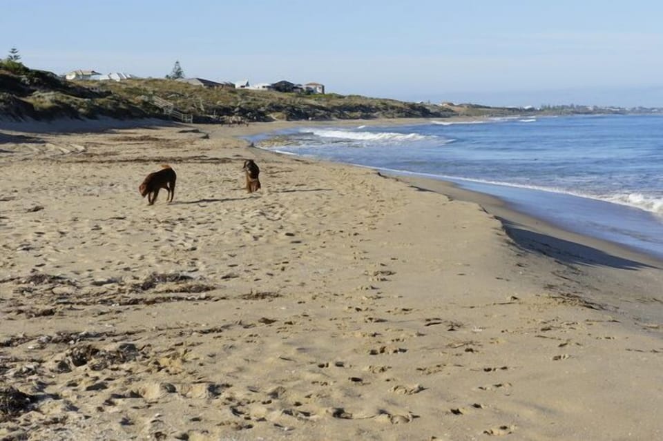 Dog beach in front of Beach House